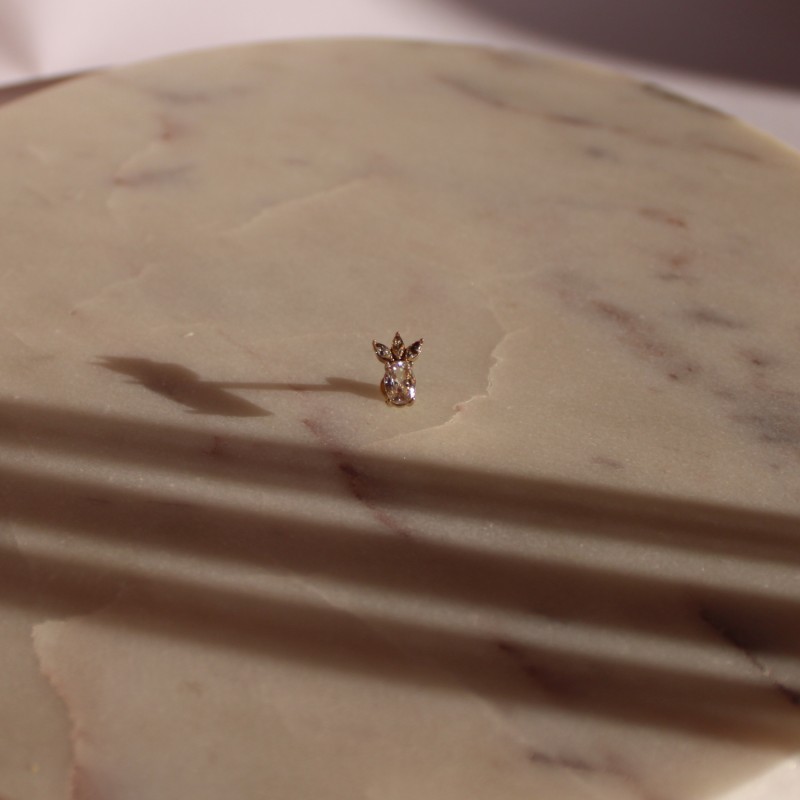 Piercing labret Prune Piercing labret Prune