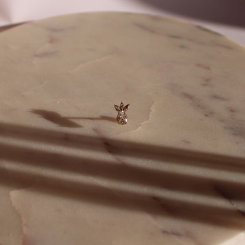 Piercing labret Prune