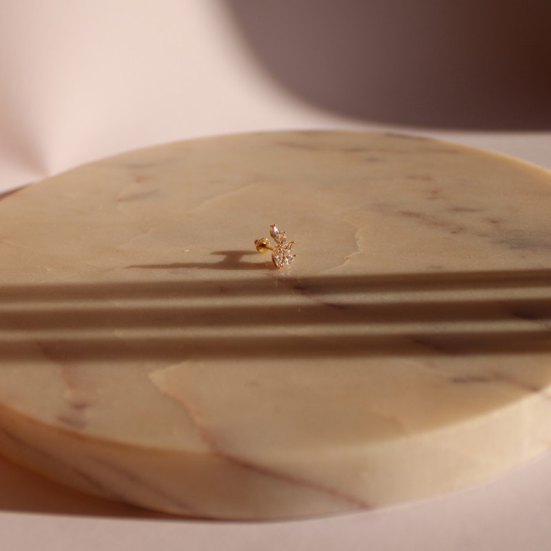 Piercing labret Pooja Piercing labret Pooja