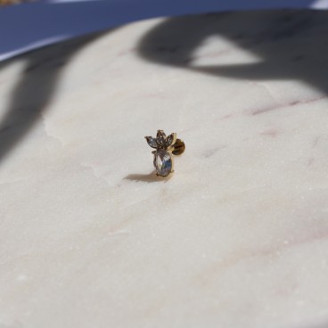 Piercing labret Prune