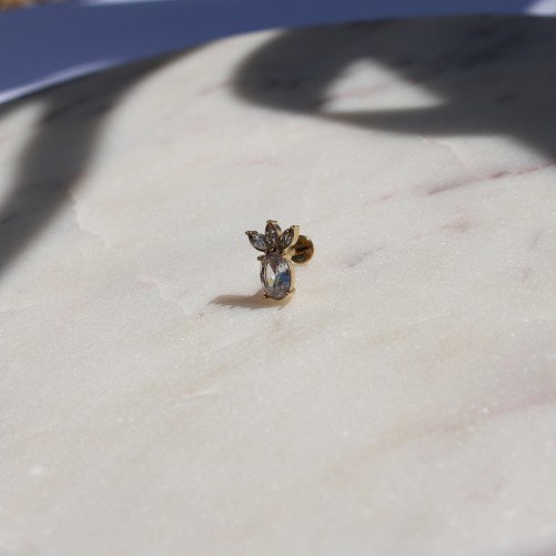 Piercing labret Prune