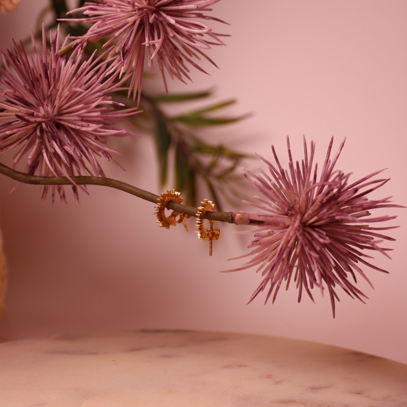 Créoles Cannelle Créoles Cannelle